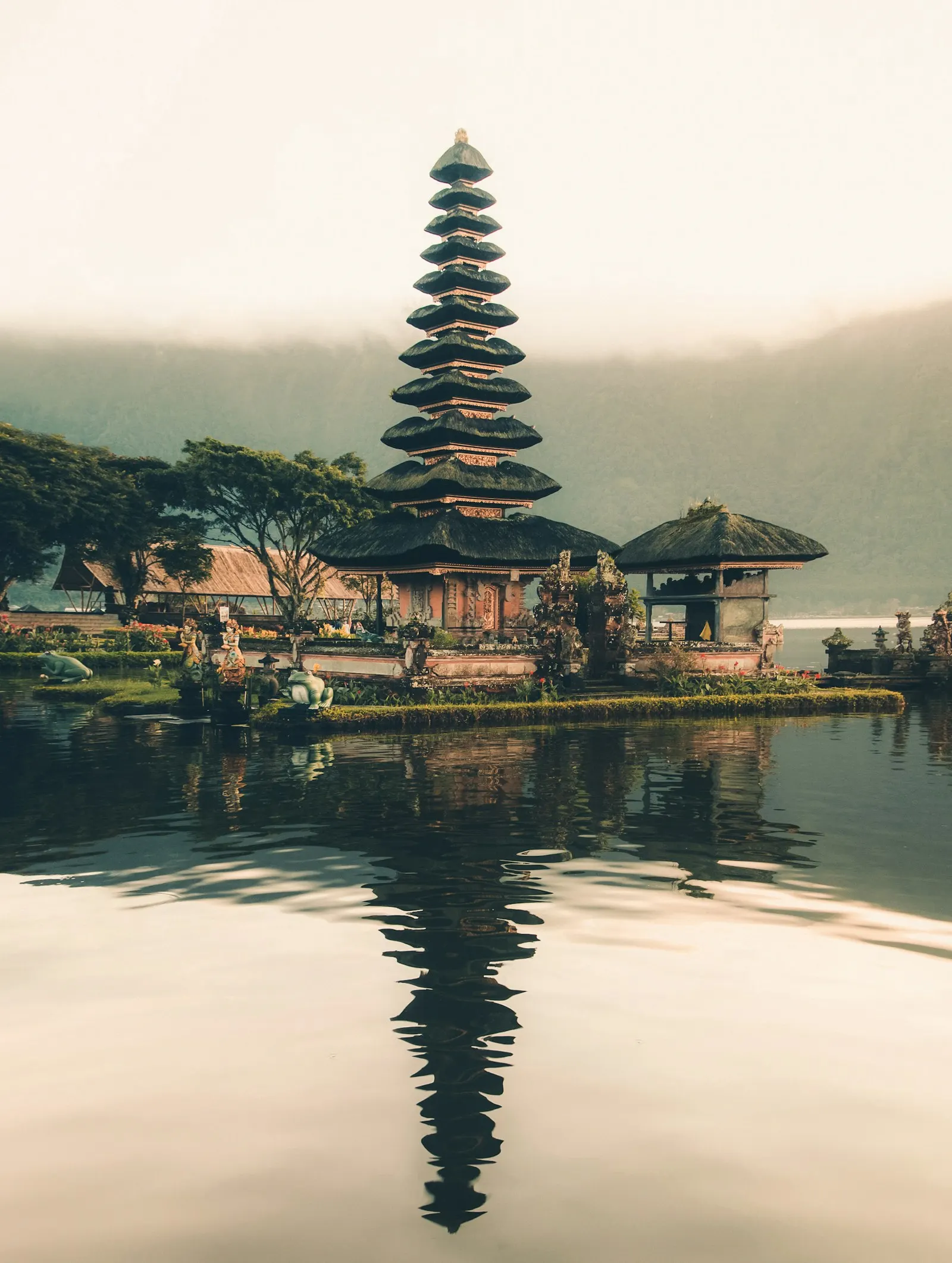 Lush rice terraces in Bali